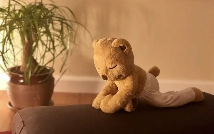 Prenatal Yin Yoga for your Baby's Health 2 prenatal yin yoga bear