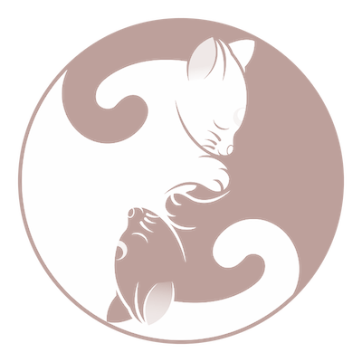 Prenatal Yin Yoga for your Baby's Health 1 prenatal yin yoga yin yang 1