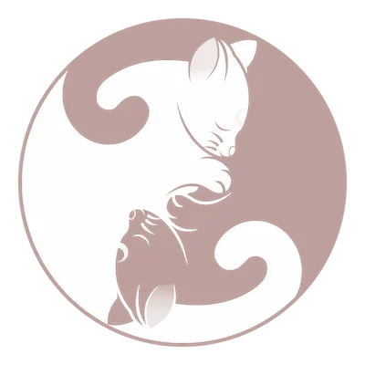 Prenatal Yin Yoga for your Baby's Health 1 prenatal yin yoga yin yang 1