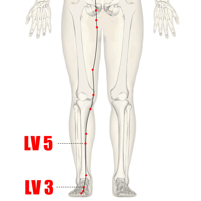 Yin Yoga: Roll into Spring! 1 liver g
