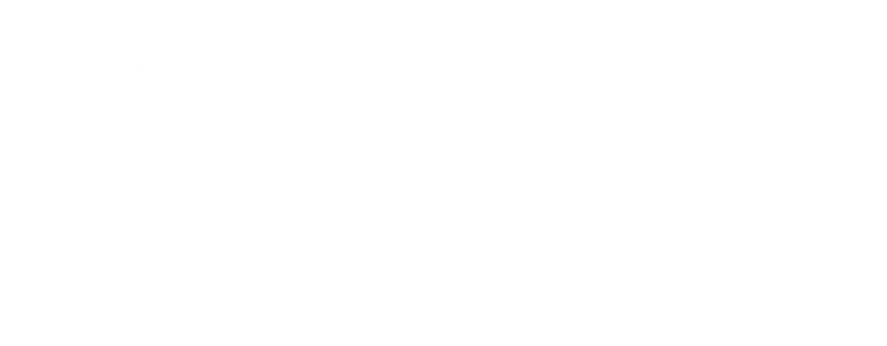 naviyin logo naviyin logo
