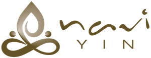 naviyin logo